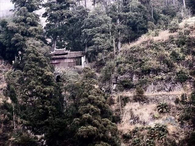 毛主席要粟裕入朝作战，粟裕因头痛错过，后才知他头里有3枚弹片