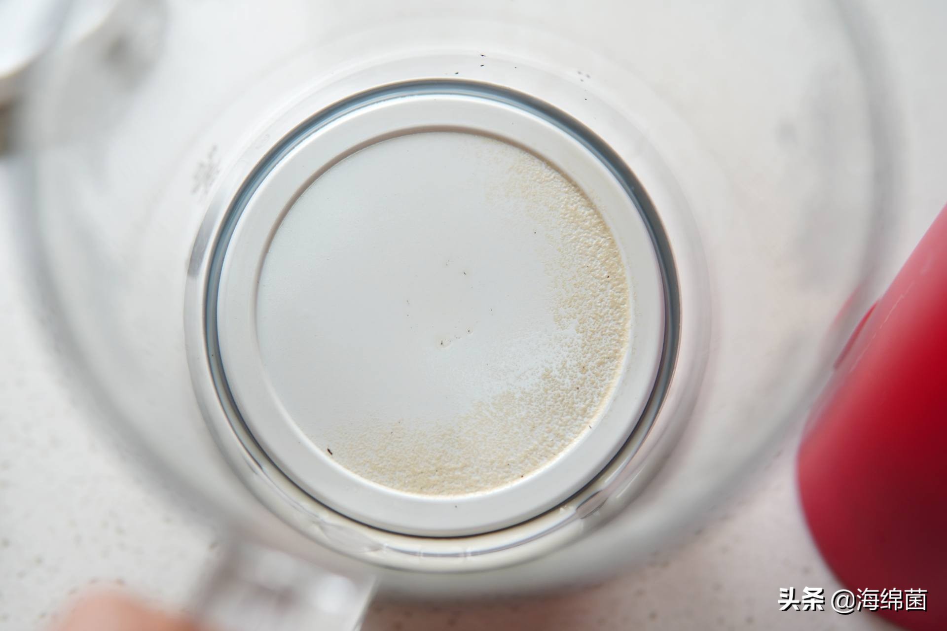 奶茶机到底是不是伪需求？热门款横评告诉你答案