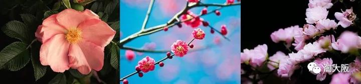 资生堂哪个系列性价比高,资生堂哪个系列效果最好