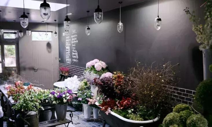 开一个花店指南,如果你也想开一家花店书籍