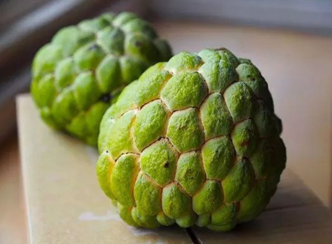 真的是活久见！长成这样居然能吃？