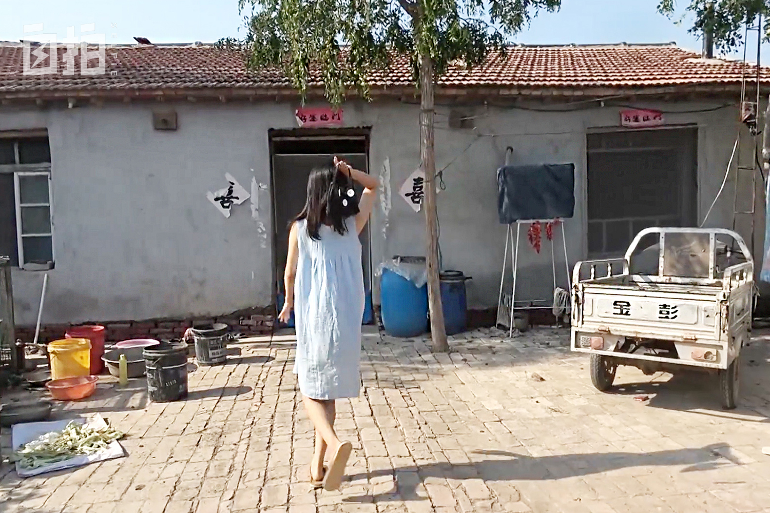 22岁越南女大学生旅游网恋,越南女嫁四川小伙彩礼2万