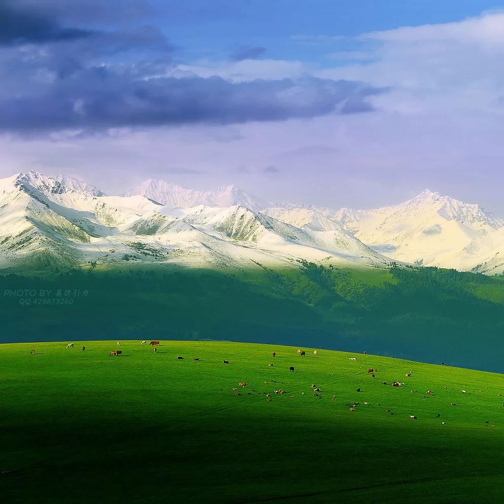 涓嶈兘鍘诲鍦扮殑鐞嗙敱,浜旂浜轰笉鑳藉幓鐤嗗唴鏃呮父