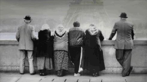 伊朗获奥斯卡的电影,奥斯卡伊朗