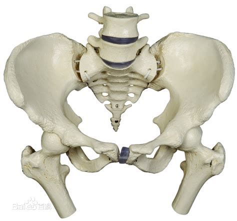 深蹲腰痛怎么办,深蹲腰痛怎么练腿