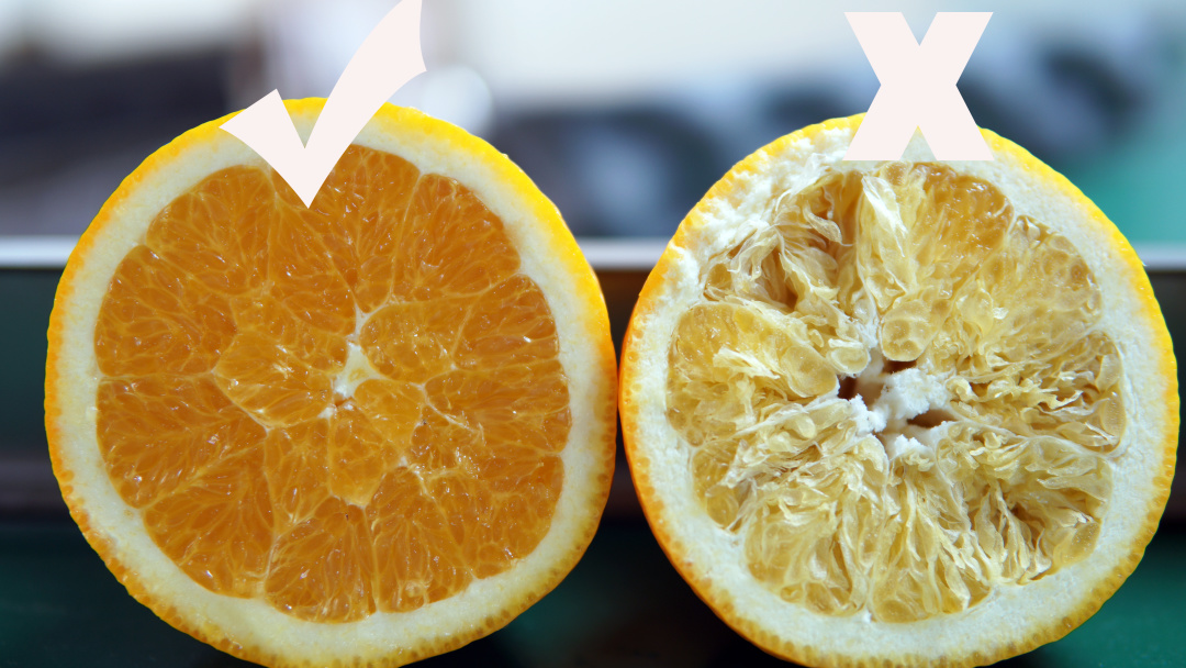 橙子干水了,橙子里面干水是什么原因