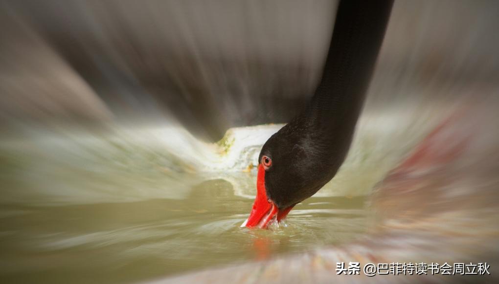 黑天鹅来了，不止一只,全球股市估值图每周更新）