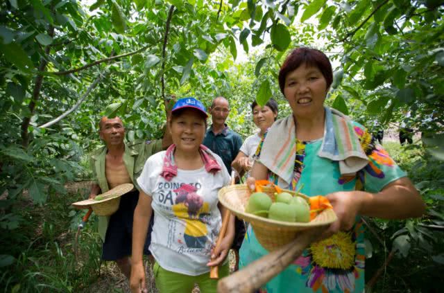 国家鼓励的乡村振兴行业有哪些,乡村振兴干什么最赚钱