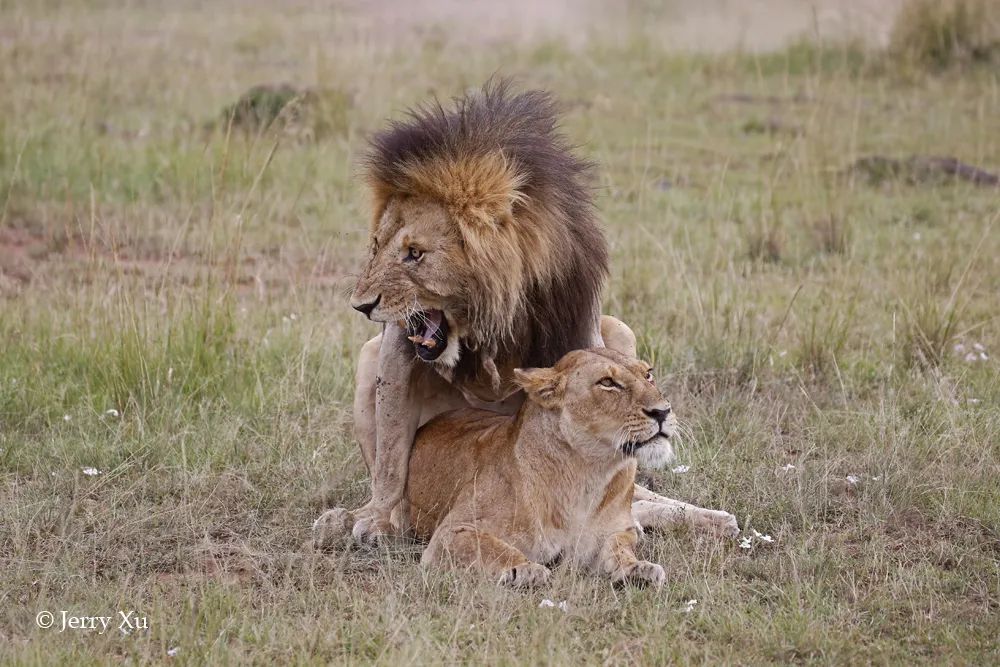 情人节,就该和爱的人*爱做**做的事
