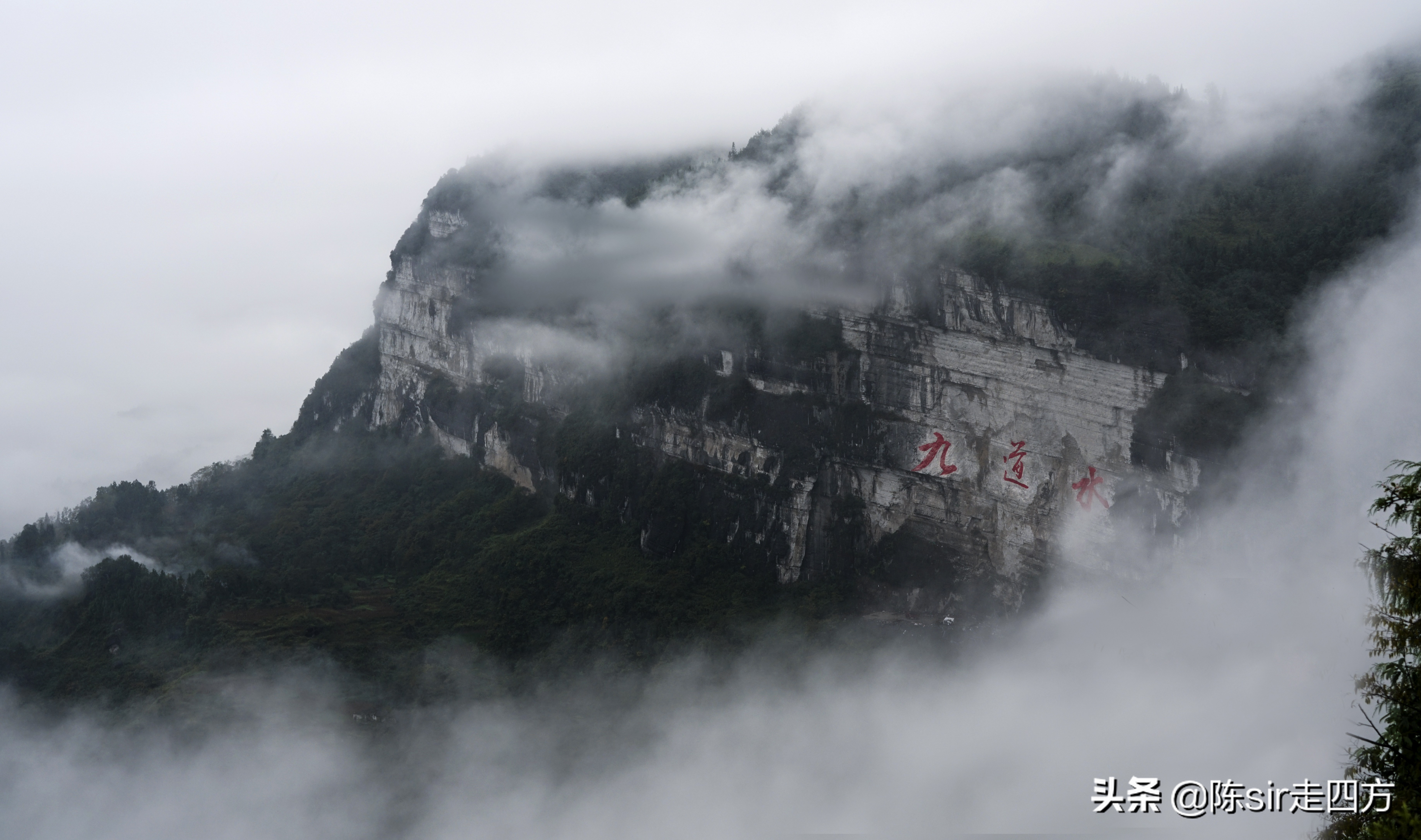 遵义花海音乐节,遵义最近有什么音乐节