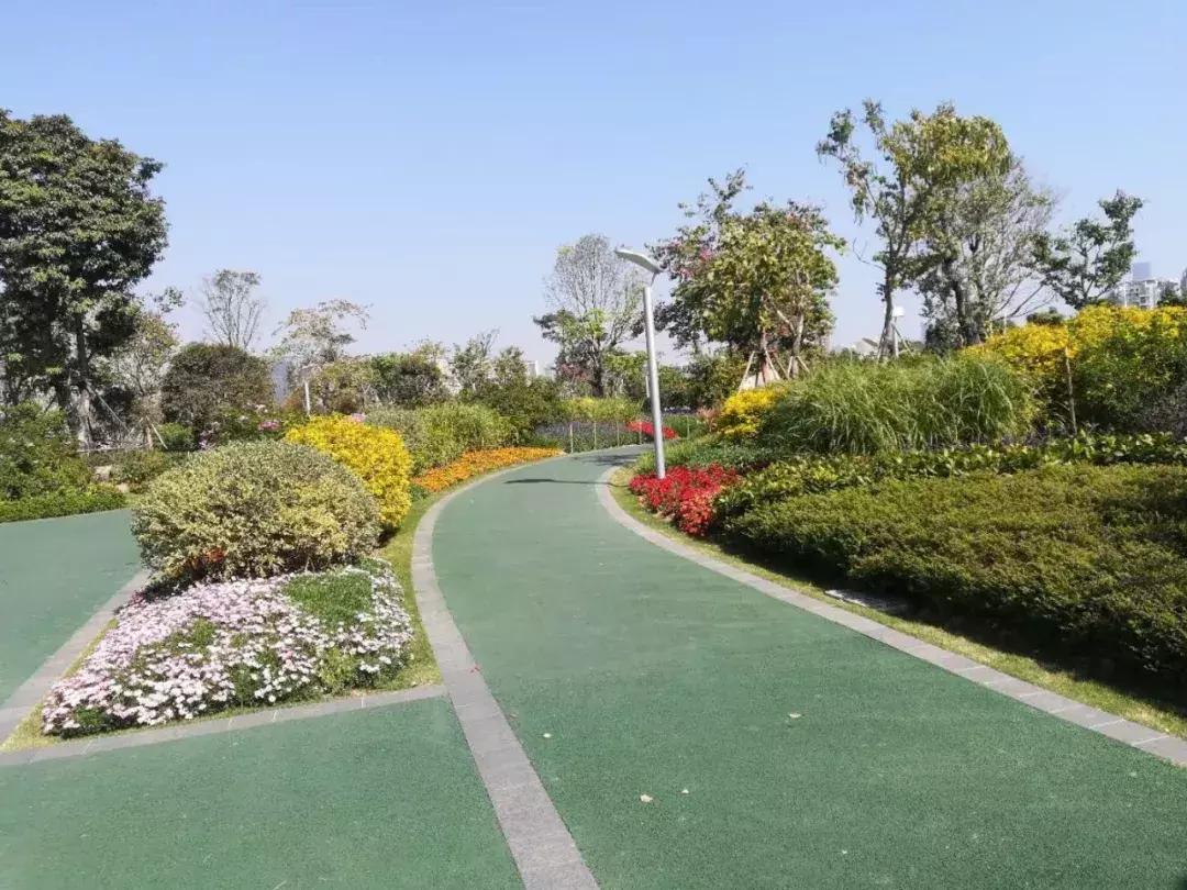 前海投资价值,深圳前海还有投资价值吗