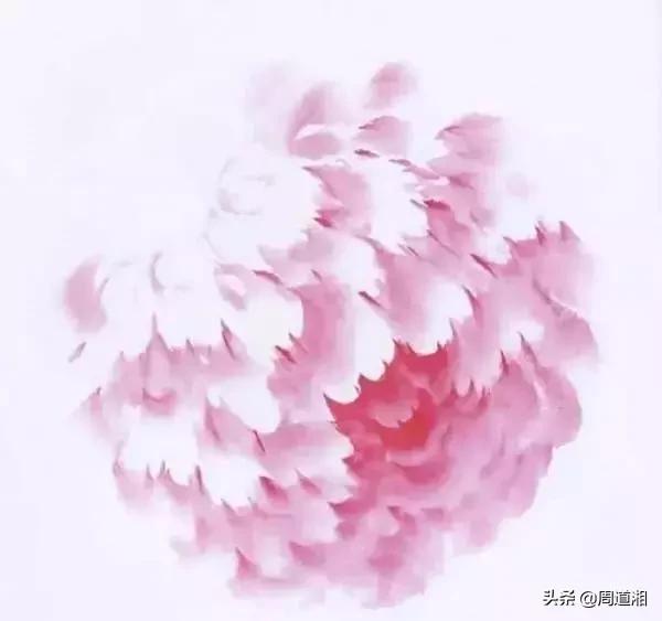 九种牡丹调色法,牡丹九大色系图片大全