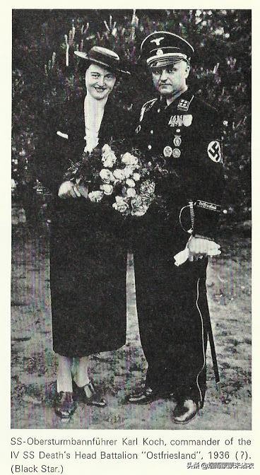 心如蛇蝎的妻子完整版,心如蛇蝎的夫妻