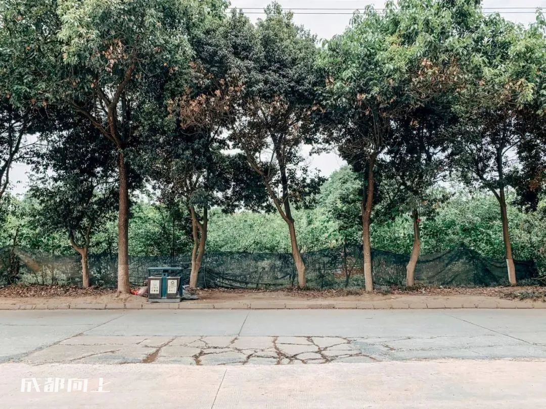 新繁今日现状,新繁最近事件