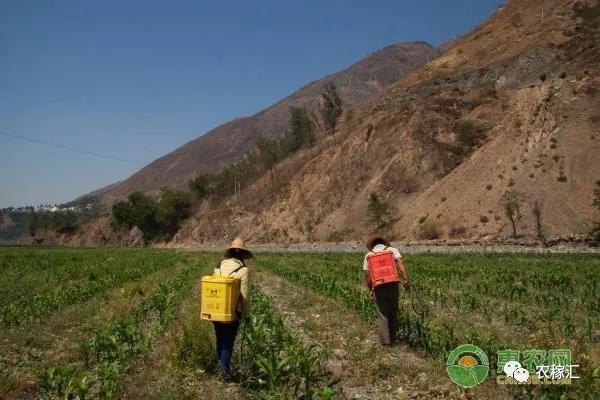 农村承包土地最新政策到期怎么办,土地承包到期后该怎么处理