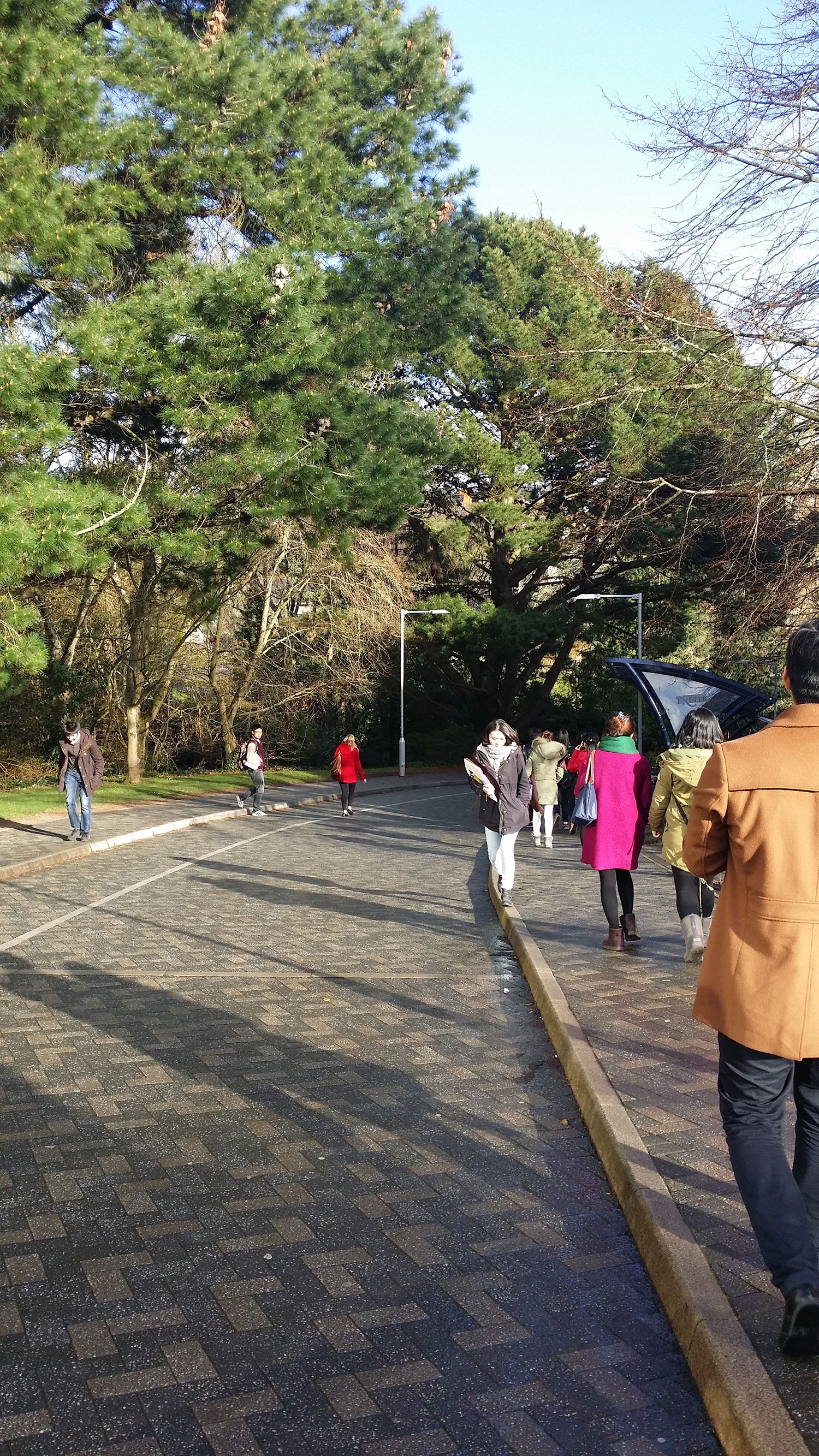 就读英国萨塞克斯大学的传媒专业如何？申请条件是什么？