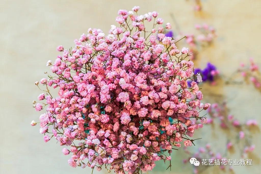 刚开业的花店怎么进货,想开家花店花从哪进货