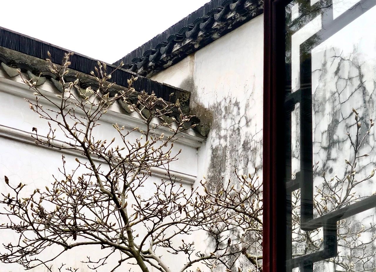 探索苏州有很多种方式,而我却选择了跟着万丽酒店去发现她的美