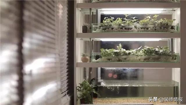 他用14天改造6口之家，只为给她一线生机