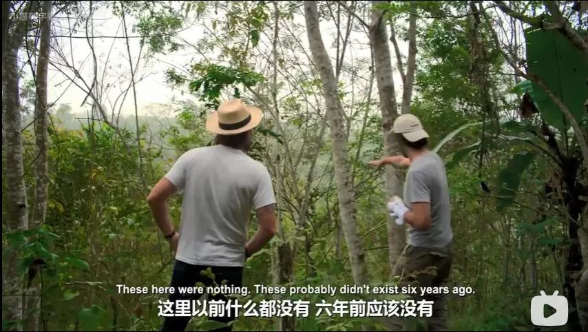 全程开车，男神这9分片太过瘾了