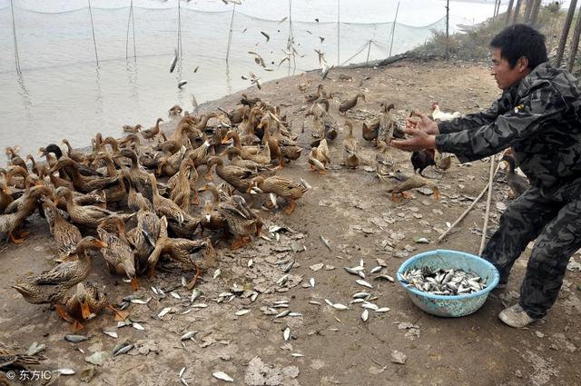 农村小型冷库怎么赚钱,农村冷库存什么赚钱