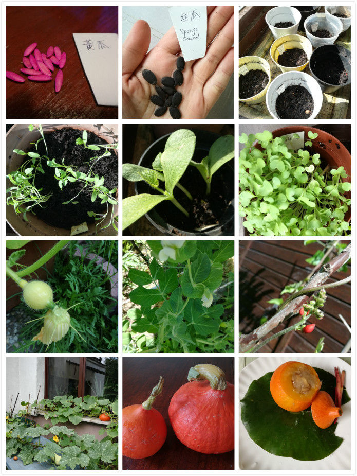 德国有机超市,在德国生活是什么体验