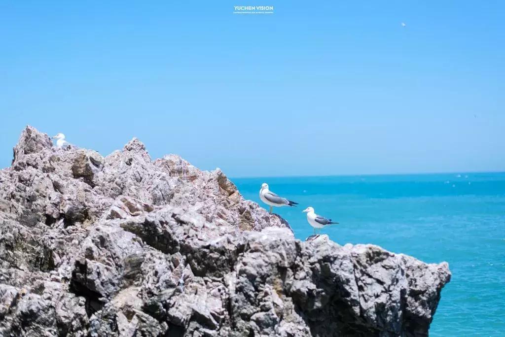 北方冬季适合吃的海鲜,北方冬天适合去的海滨小城