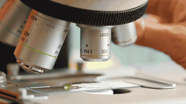 吃毒菇、睡蛇窝,只为挖一堆草,这个重庆博士要做当代神农