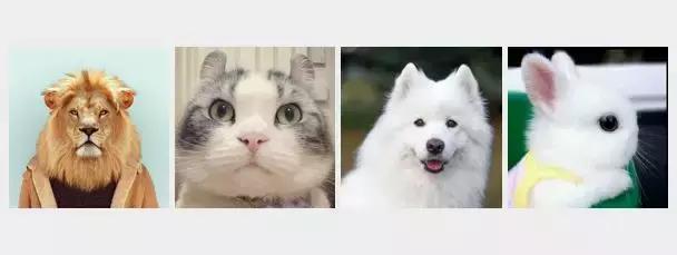 设计师：看微信图像就知道你是什么人...