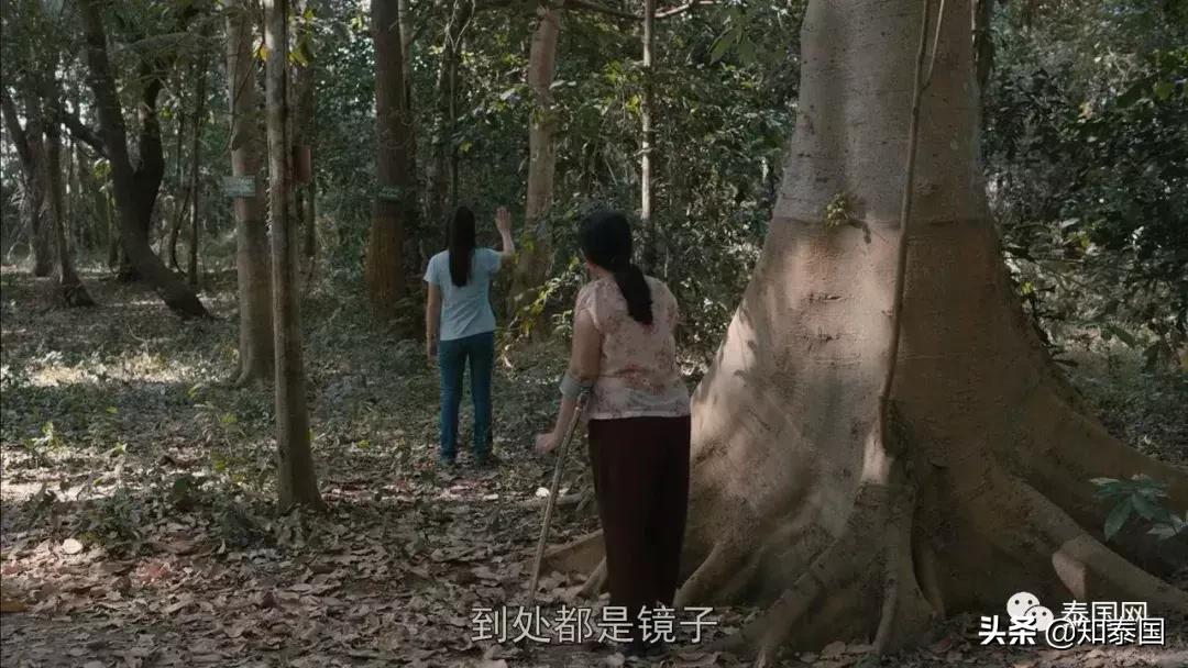 被士兵“上身”的年轻女巫，为何要去舔舐老女人伤痕累累的大腿？