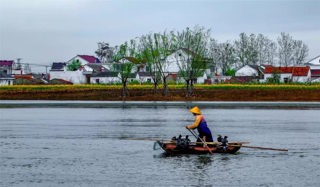 灌云有什么游玩的景点吗,灌云旅游景点推荐一日游