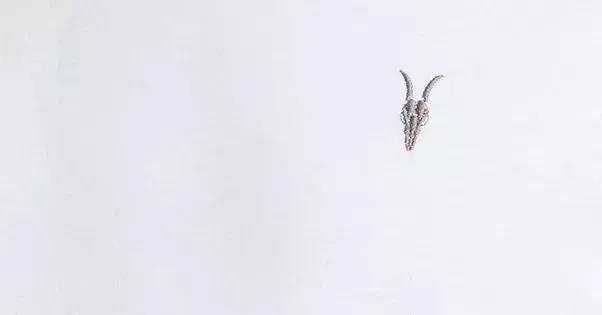 皮夹克品牌排行榜前十名,男士皮夹克哪个品牌的好