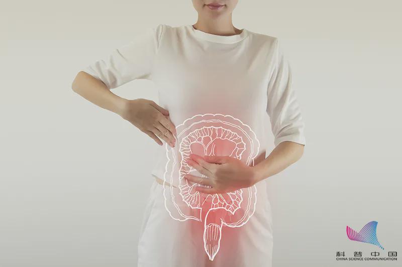 瘦肉精为何流入市场,含有瘦肉精的肉有什么危害