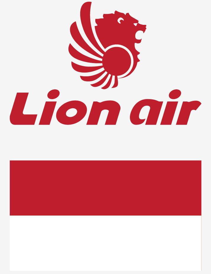 737max8狮子,737max8客机视频