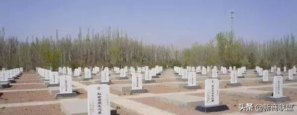 揭秘*疆新**马兰