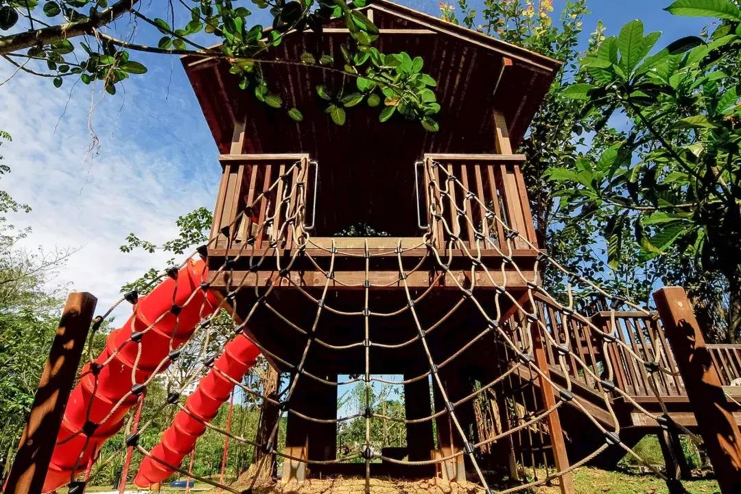 新加坡遛娃最佳地点,新加坡遛娃的好去处