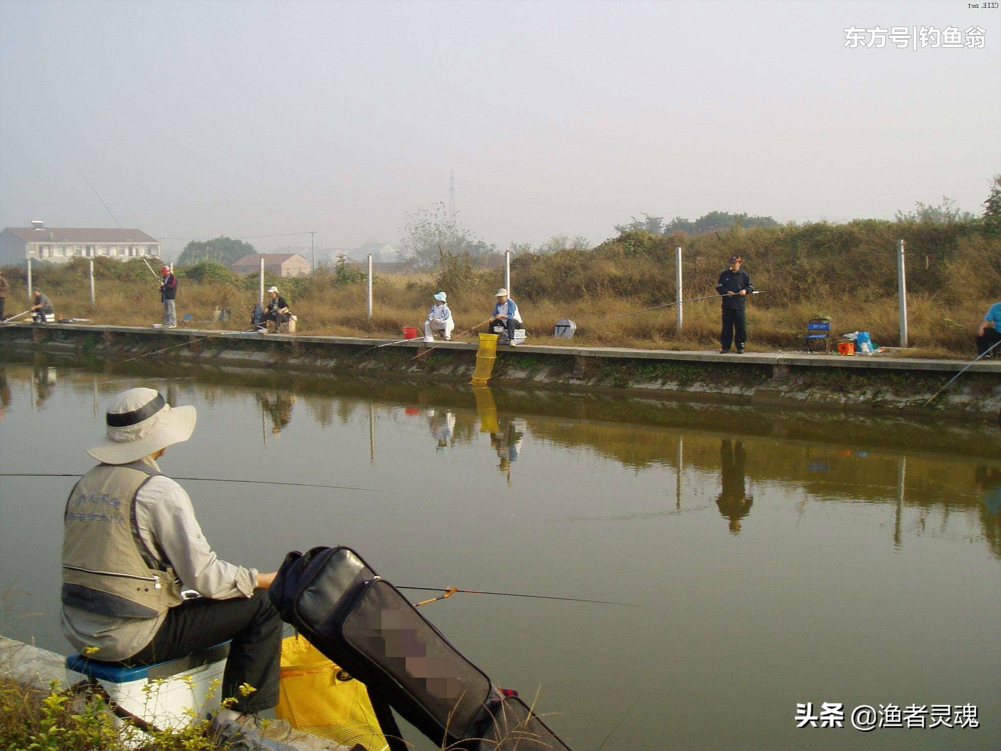 夜钓黑坑鲤鱼偷驴钓近还是远,夜钓黑坑偷驴是钓底还是浮