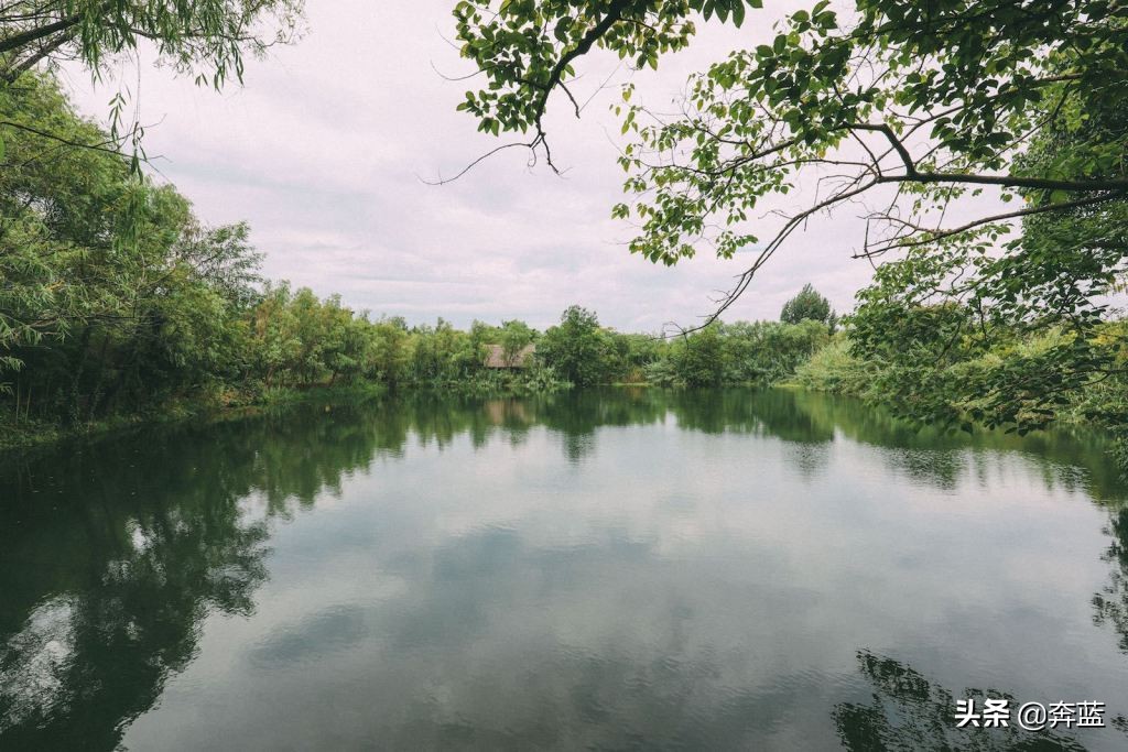 去西湖必玩的十大景点,去西湖附近玩的地方
