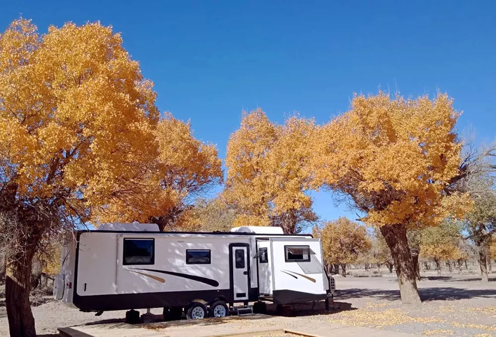 到额济纳旗怎么去胡杨林,五一去额济纳旗胡杨林好看不