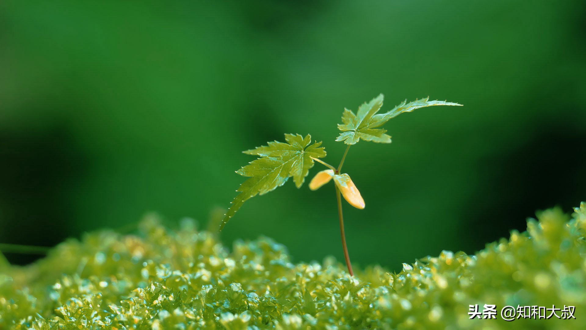 不哭不闹的女人才让人害怕,不哭不闹的女孩反而没人疼没人爱