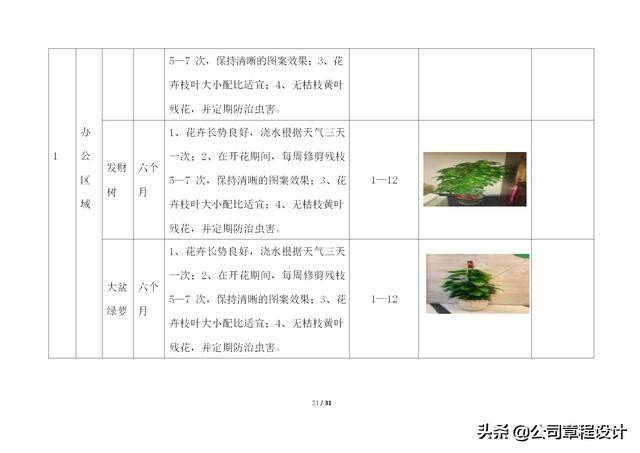 写字楼运营管理体系,写字楼精细化服务