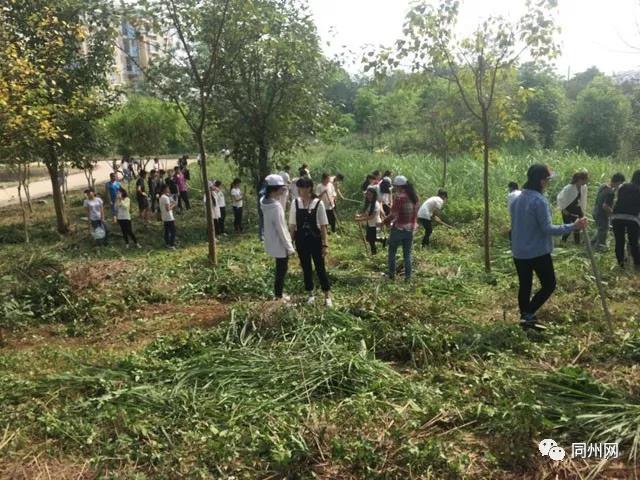 农垦中学甜品,农垦中学美食