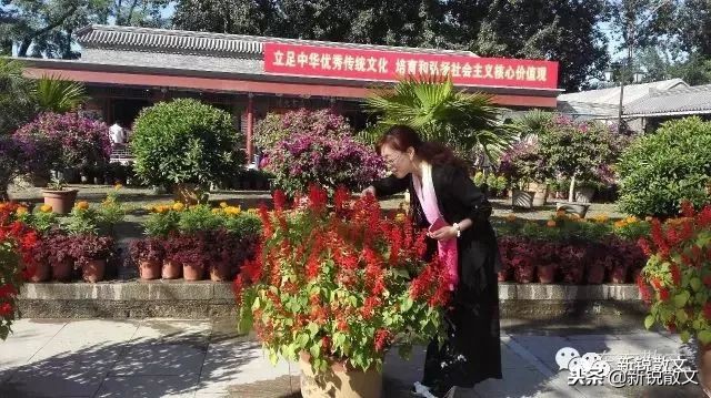 西夏王陵图片及简介,西夏王陵的历史文化