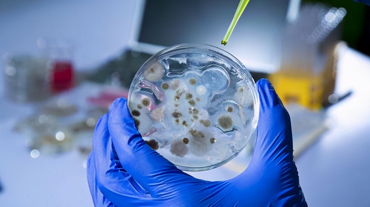 北极再现史前生物,南极爆发新冠疫情,大自然正悄悄惩罚人类