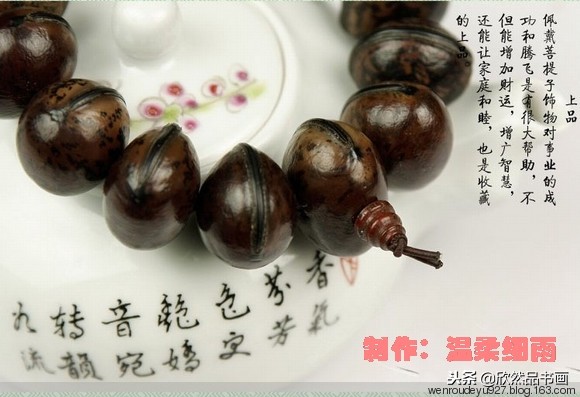 木鱼菩提子的种类全图解,菩提子手串种类图
