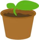 【女大学生当小姐,患性病惨不忍睹 】