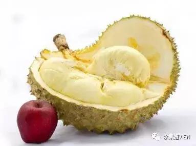 榴莲工业催熟,榴莲家里催熟