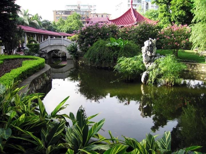 宝藏新公园周末好去处快来打卡,必打卡的宝藏公园