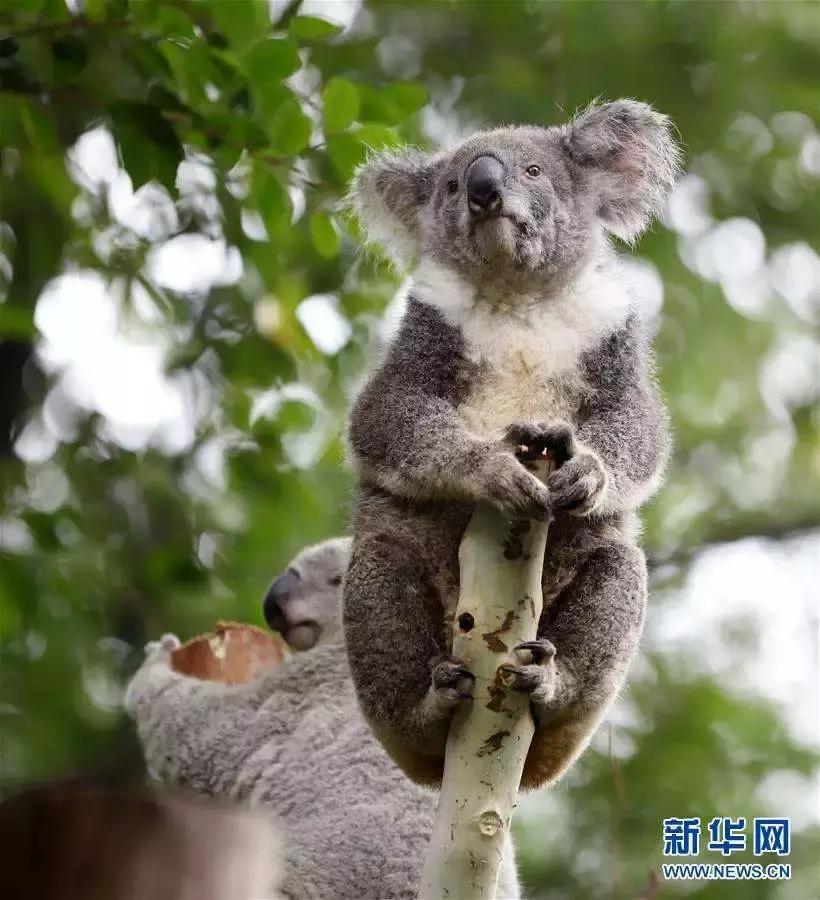 50条让你震惊的冷知识,这十个冷知识确实涨见识