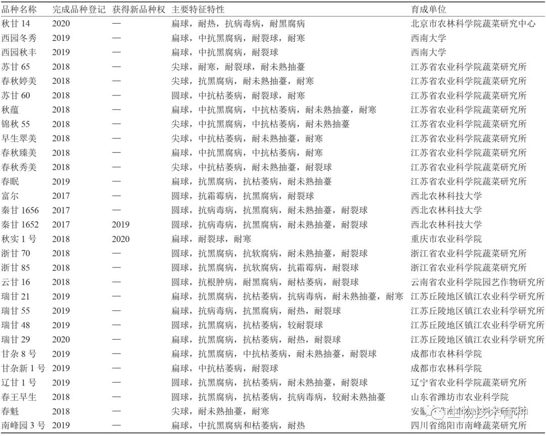 甘蓝的常见品种介绍,目前国内最佳甘蓝品种是哪个